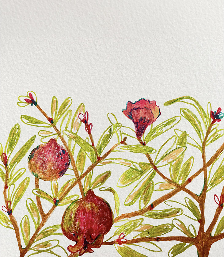 Pomegranate