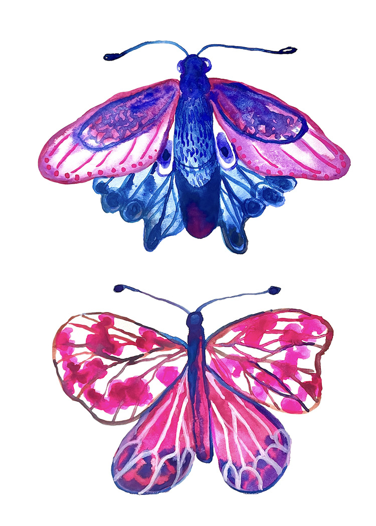 Butterflies
